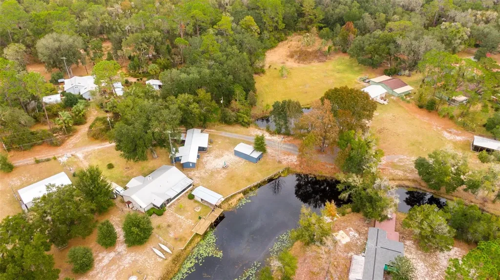 21162 NE 146th Place Salt Springs FL 32134