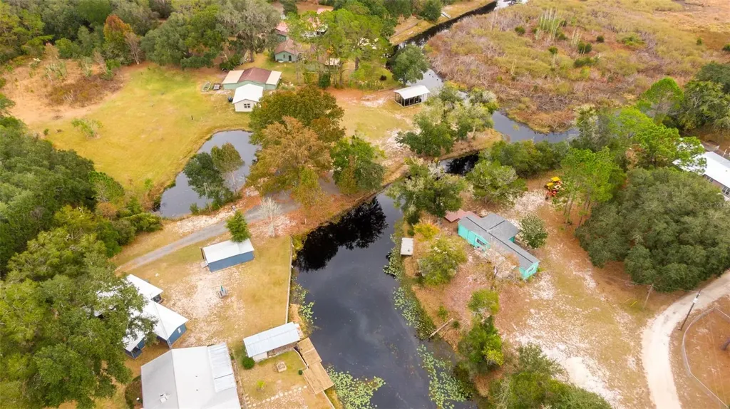21162 NE 146th Place Salt Springs FL 32134