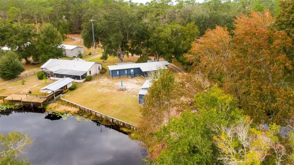 21162 NE 146th Place Salt Springs FL 32134