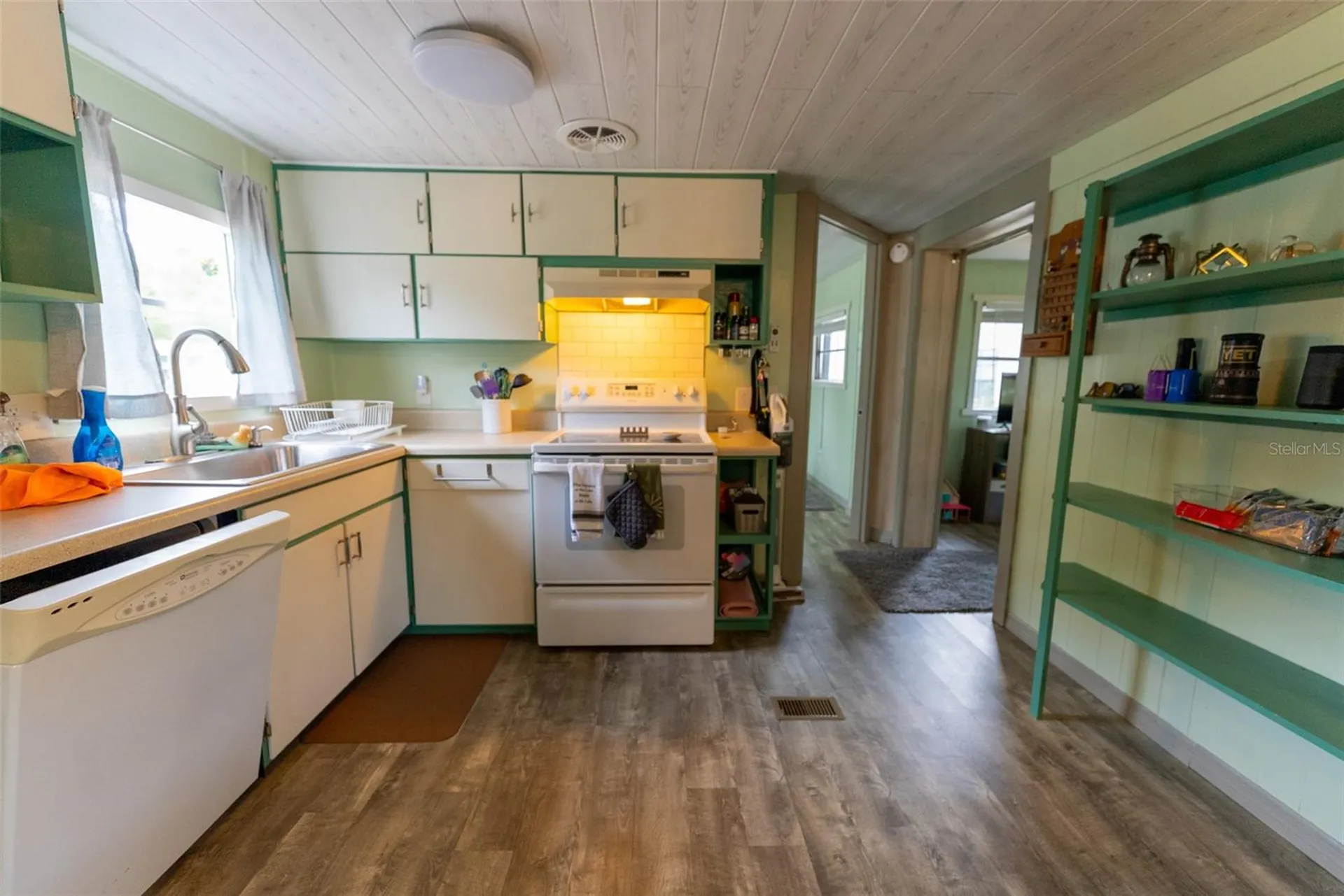 21162 NE 146th Place Salt Springs FL 32134