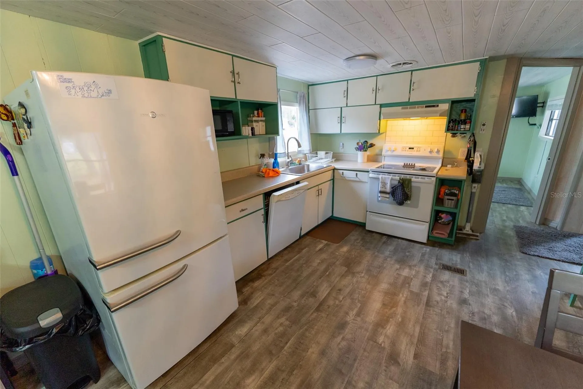 21162 NE 146th Place Salt Springs FL 32134