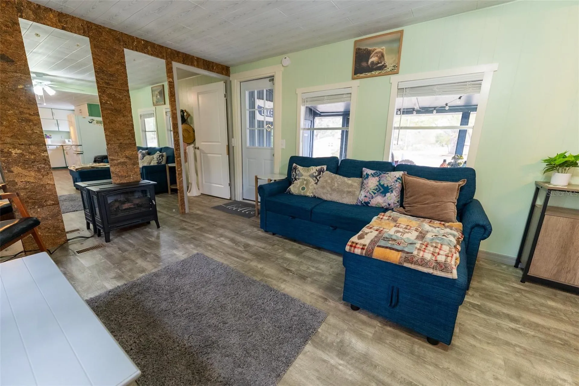 21162 NE 146th Place Salt Springs FL 32134
