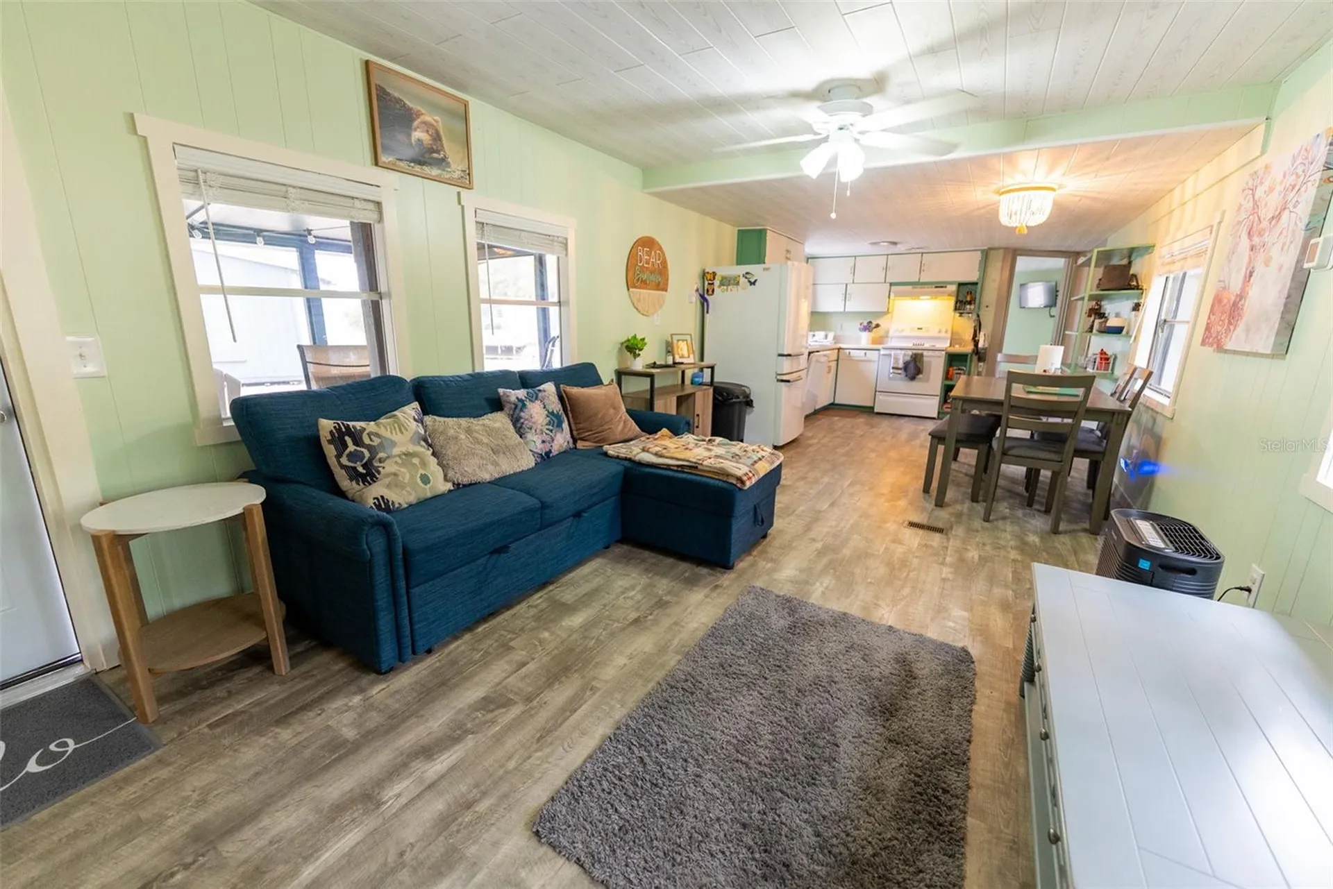 21162 NE 146th Place Salt Springs FL 32134
