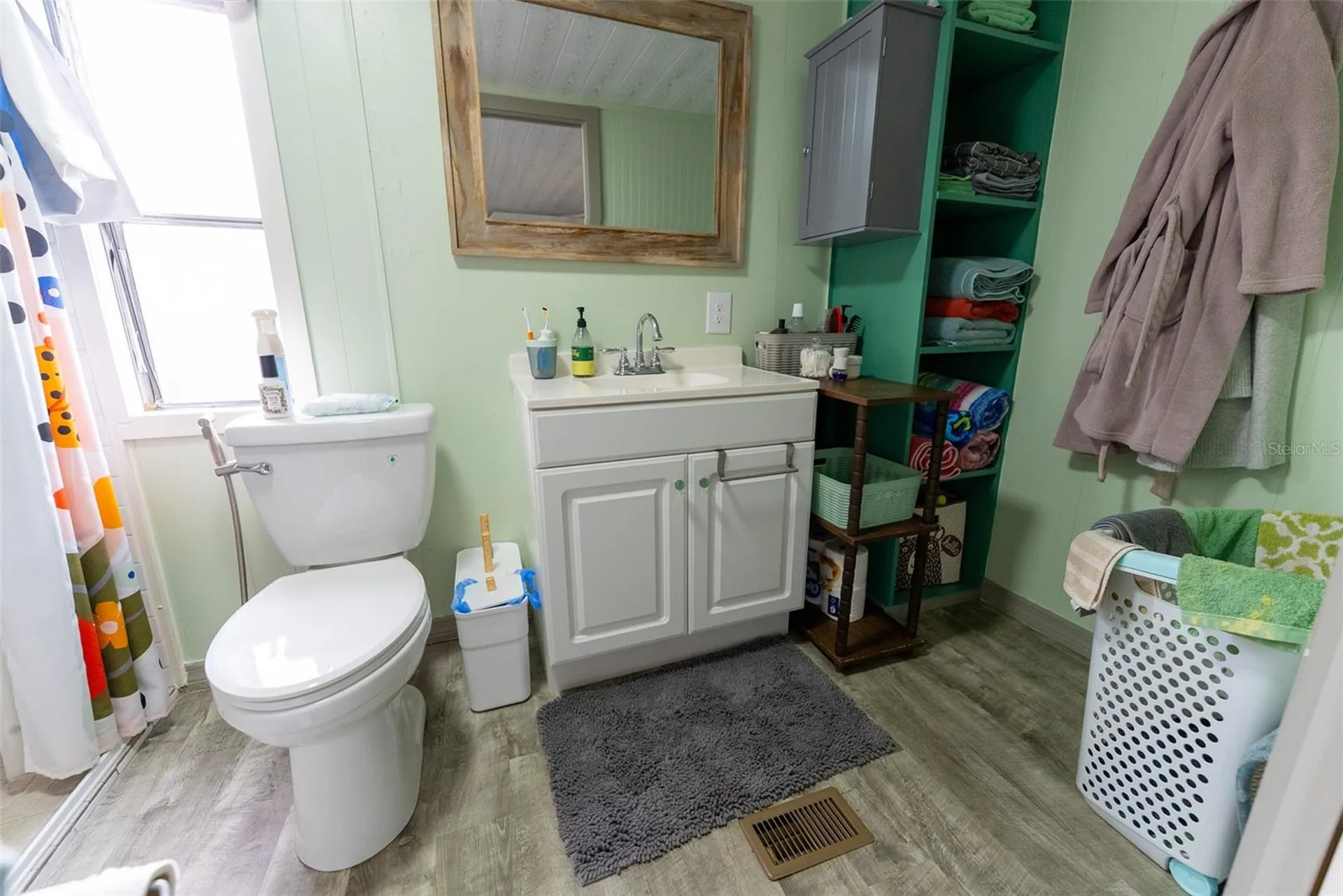 21162 NE 146th Place Salt Springs FL 32134