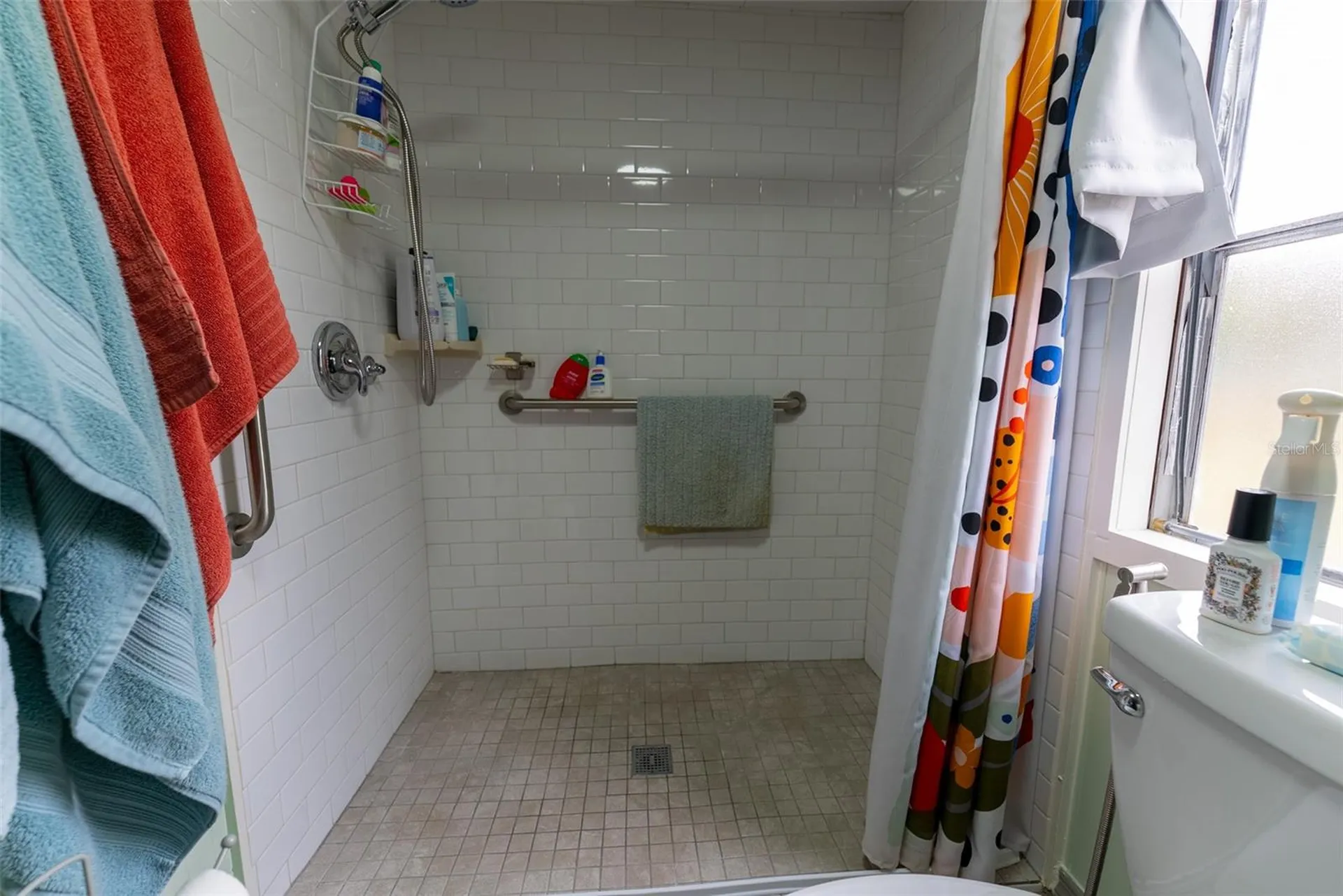 21162 NE 146th Place Salt Springs FL 32134