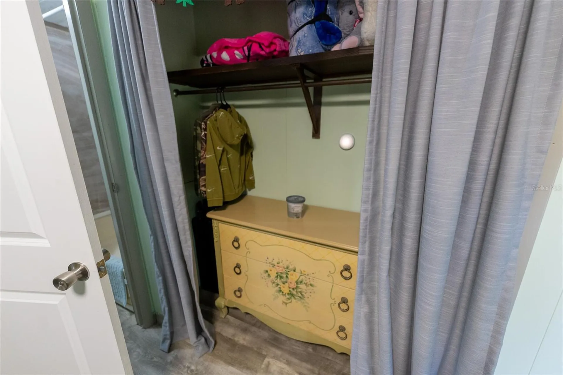 21162 NE 146th Place Salt Springs FL 32134