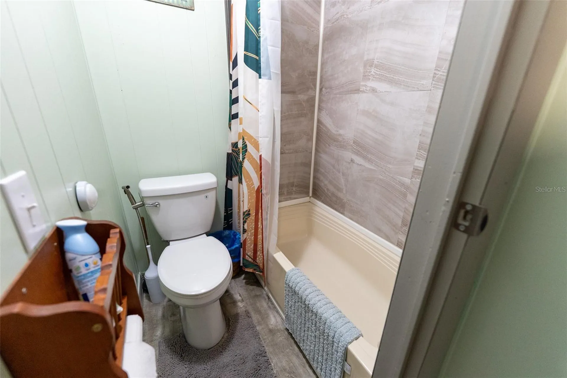 21162 NE 146th Place Salt Springs FL 32134