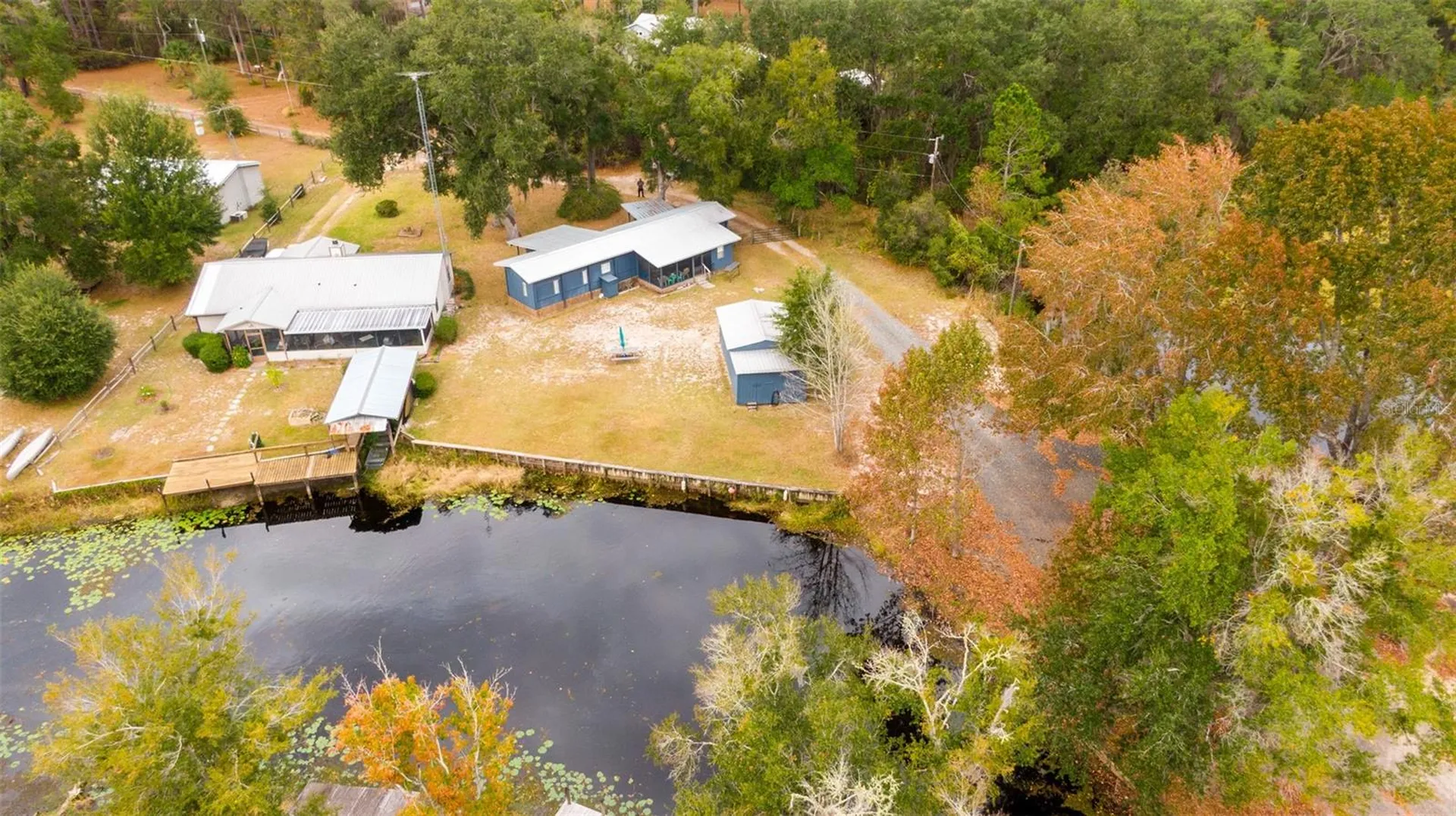 21162 NE 146th Place Salt Springs FL 32134