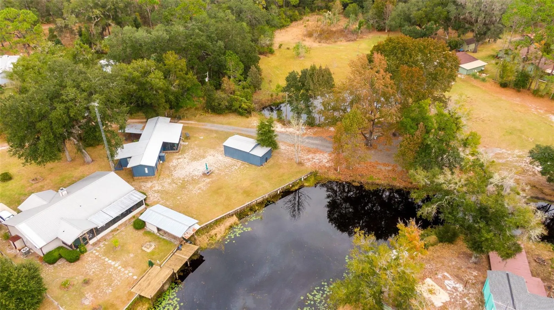 21162 NE 146th Place Salt Springs FL 32134