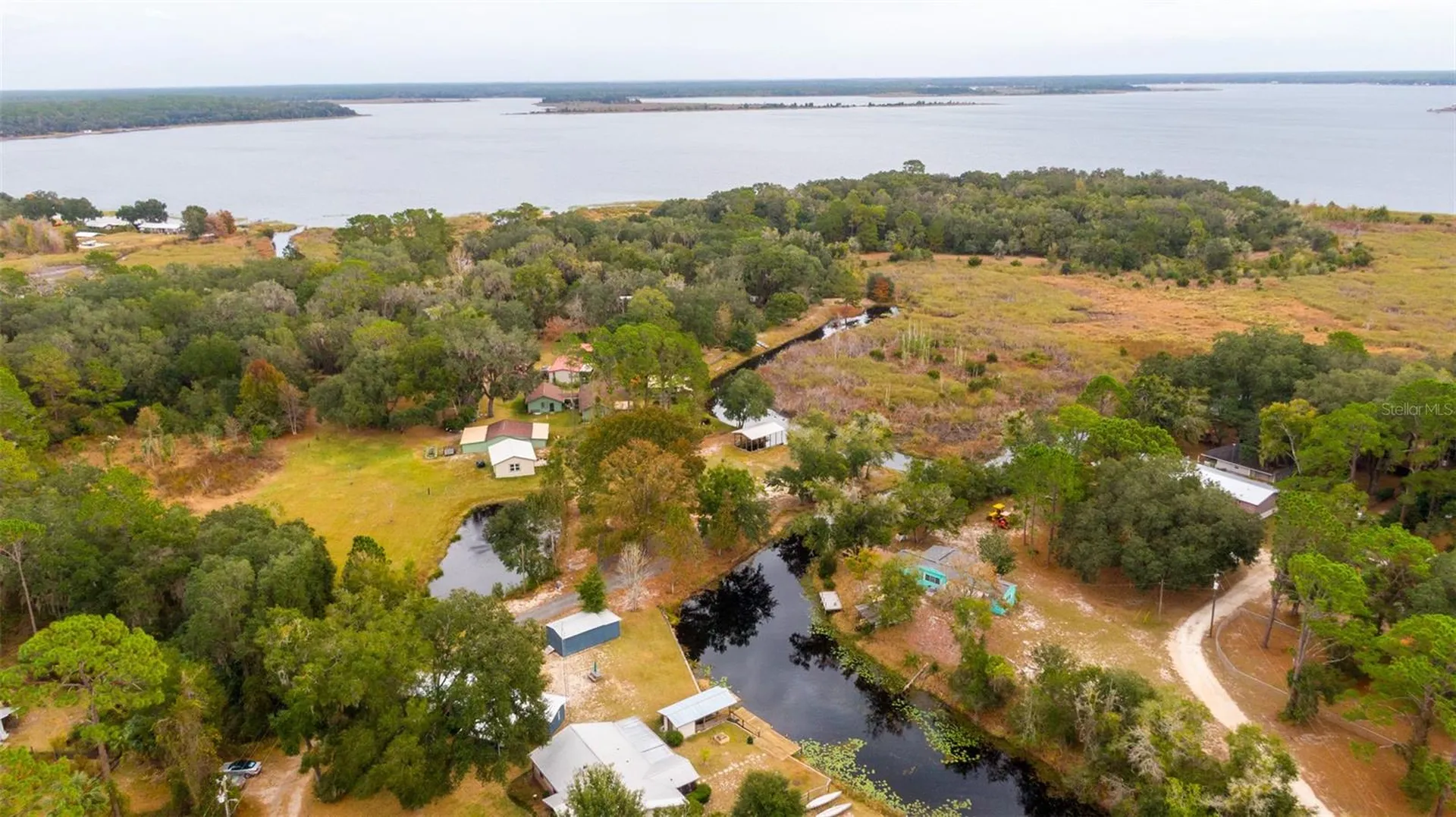 21162 NE 146th Place Salt Springs FL 32134