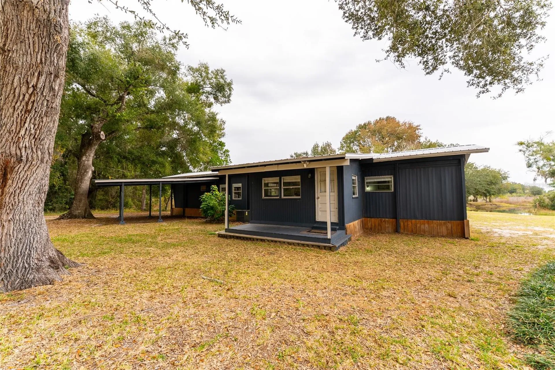 21162 NE 146th Place Salt Springs FL 32134