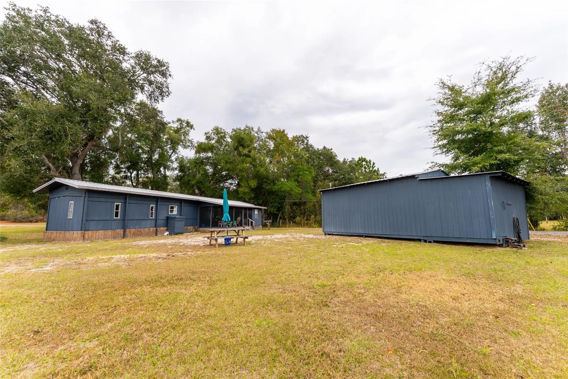 21162 NE 146th Place Salt Springs FL 32134