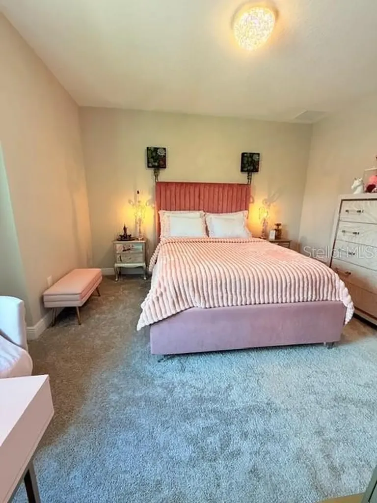 2667 Northwood Park Street Valrico FL 33596