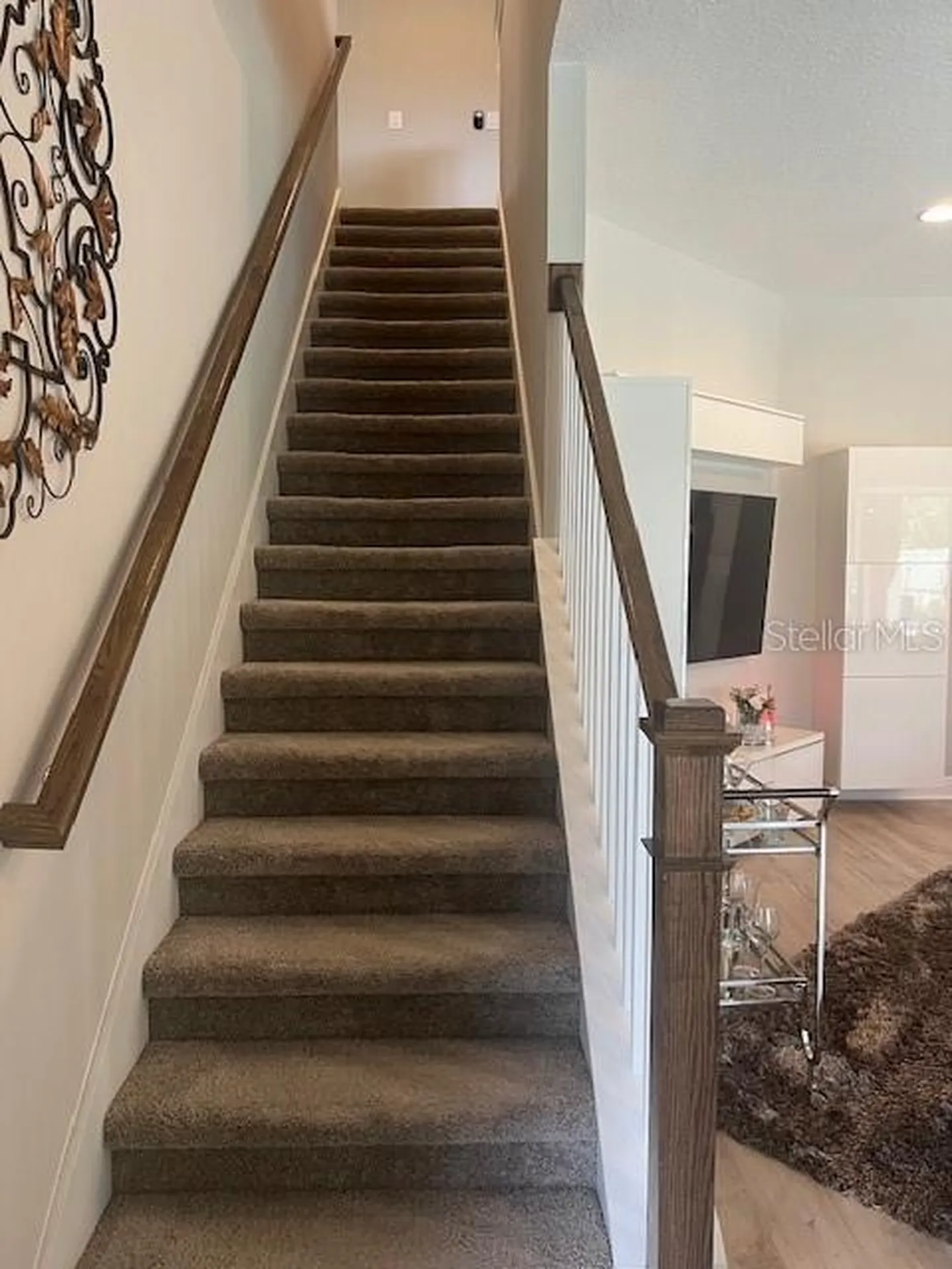 2667 Northwood Park Street Valrico FL 33596