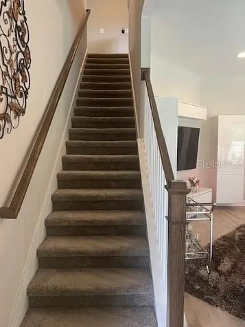 2667 Northwood Park Street Valrico FL 33596