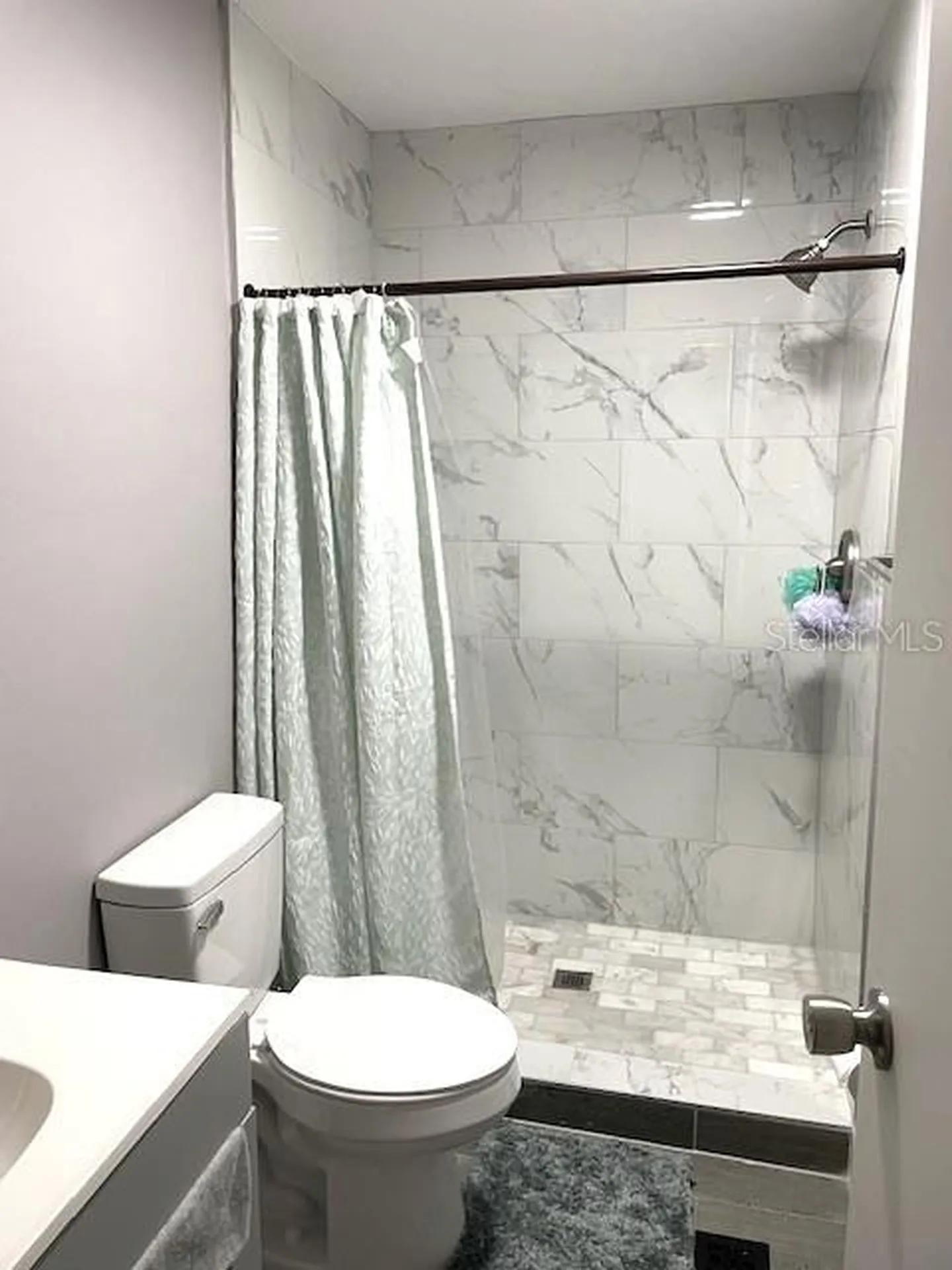 15731 SE 72nd Place Morriston FL 32668