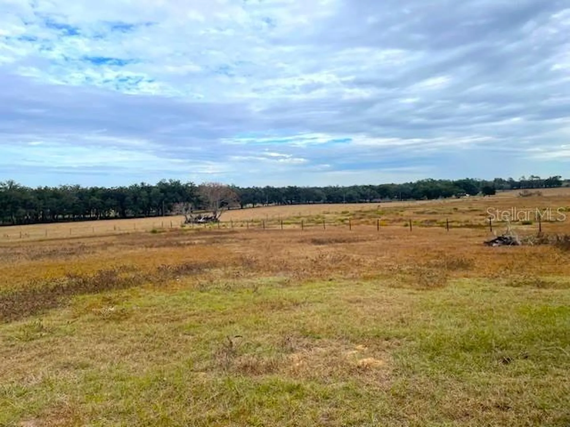 15731 SE 72nd Place Morriston FL 32668