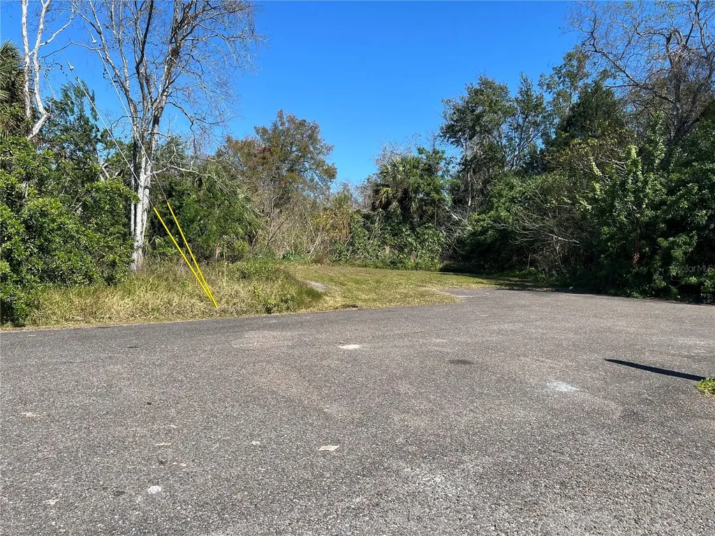 4715 Salvia Street New Port Richey FL 34652