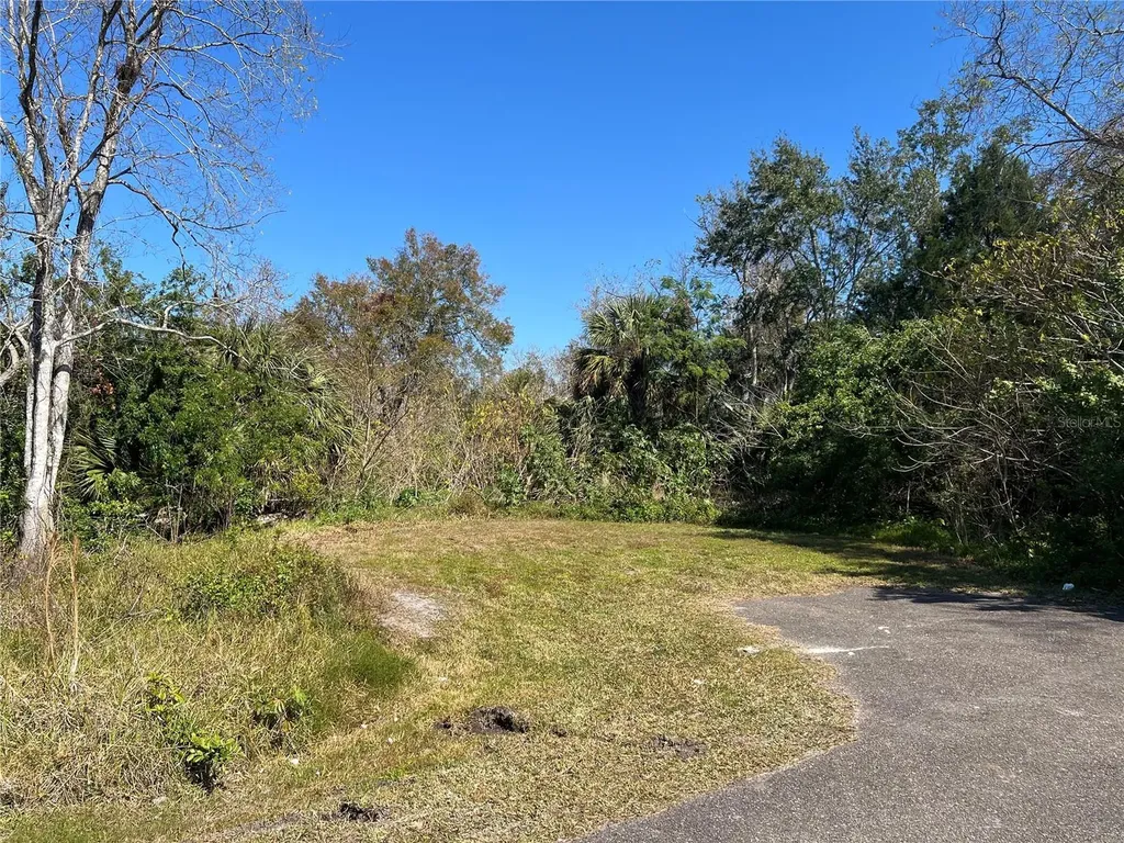 4715 Salvia Street New Port Richey FL 34652