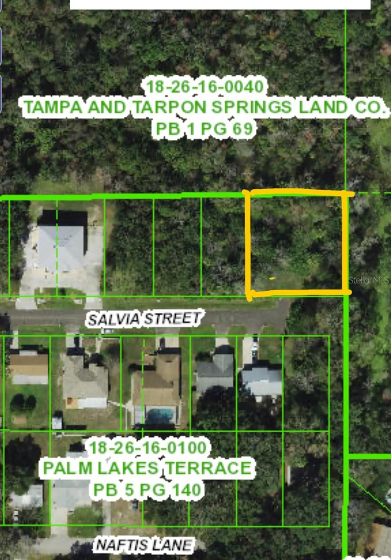 4715 Salvia Street New Port Richey FL 34652
