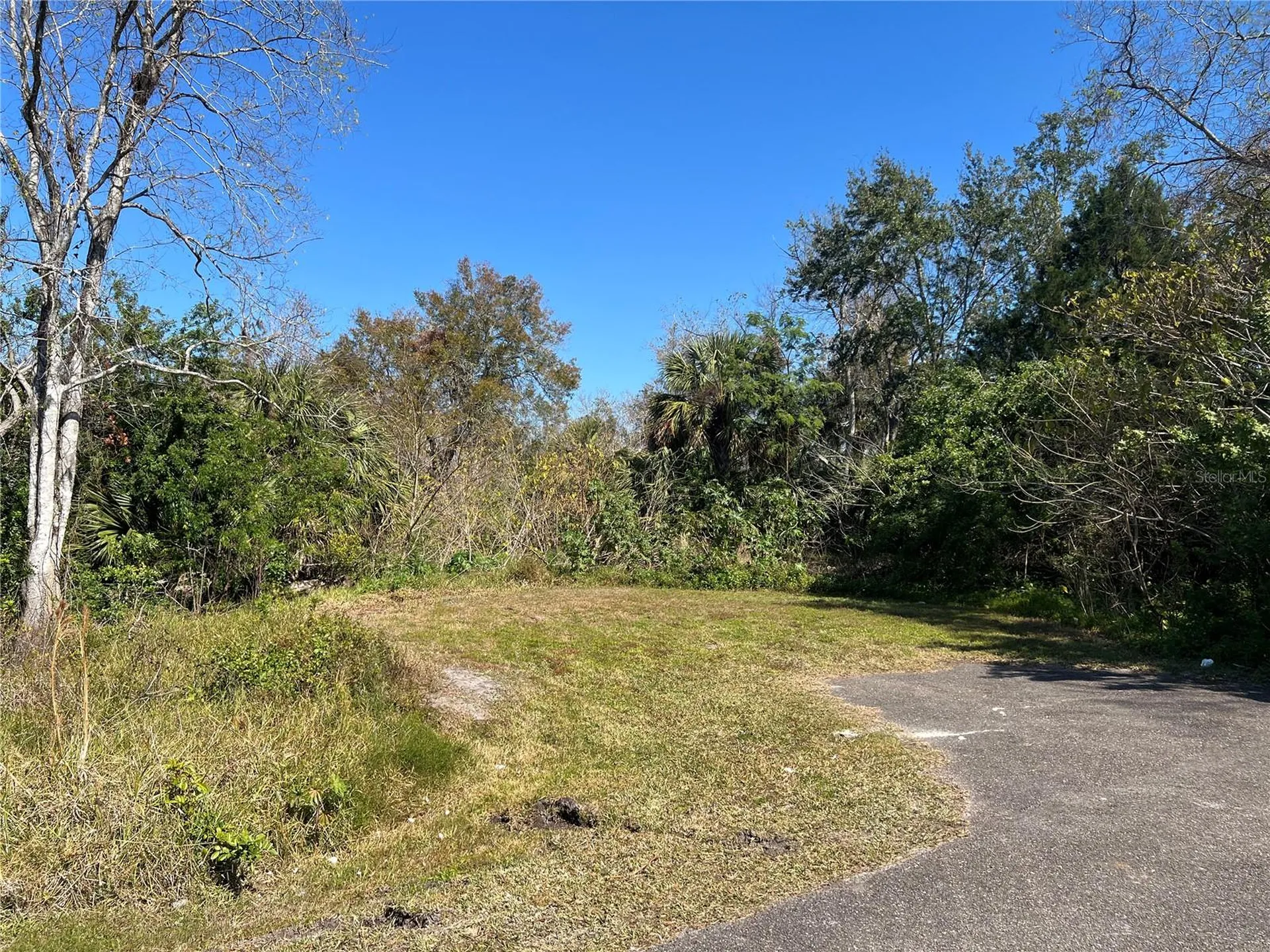 4715 Salvia Street New Port Richey FL 34652