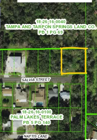 4715 Salvia Street New Port Richey FL 34652