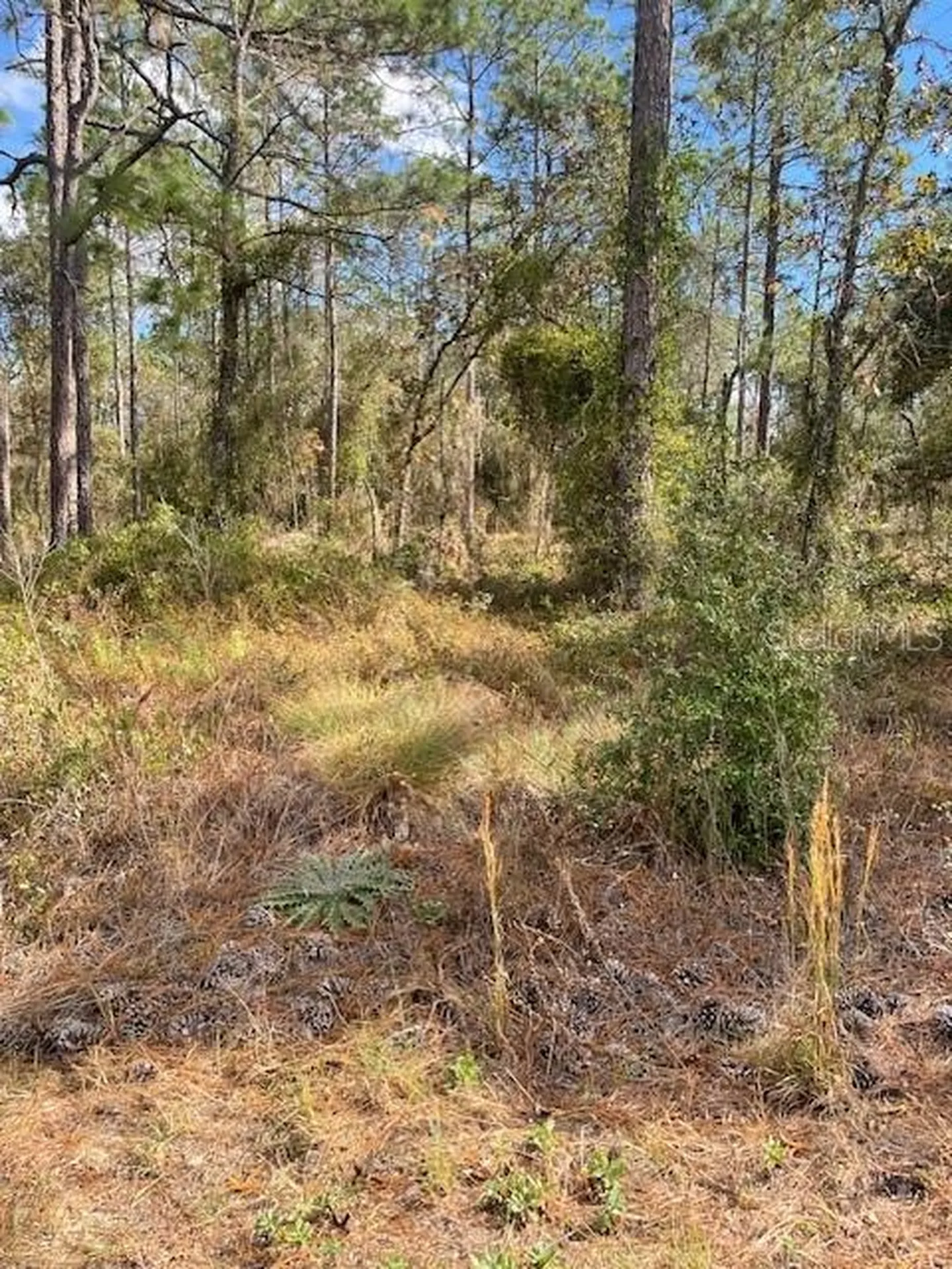 0 SE 139 Court Dunnellon FL 34434