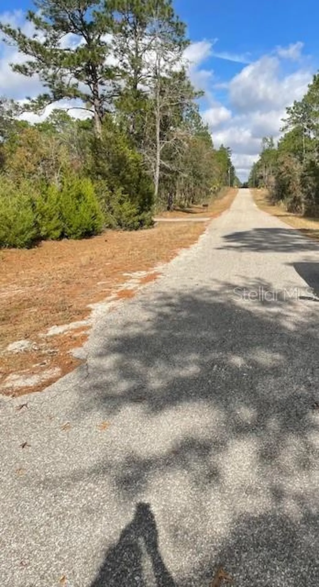 0 SE 139 Court Dunnellon FL 34434