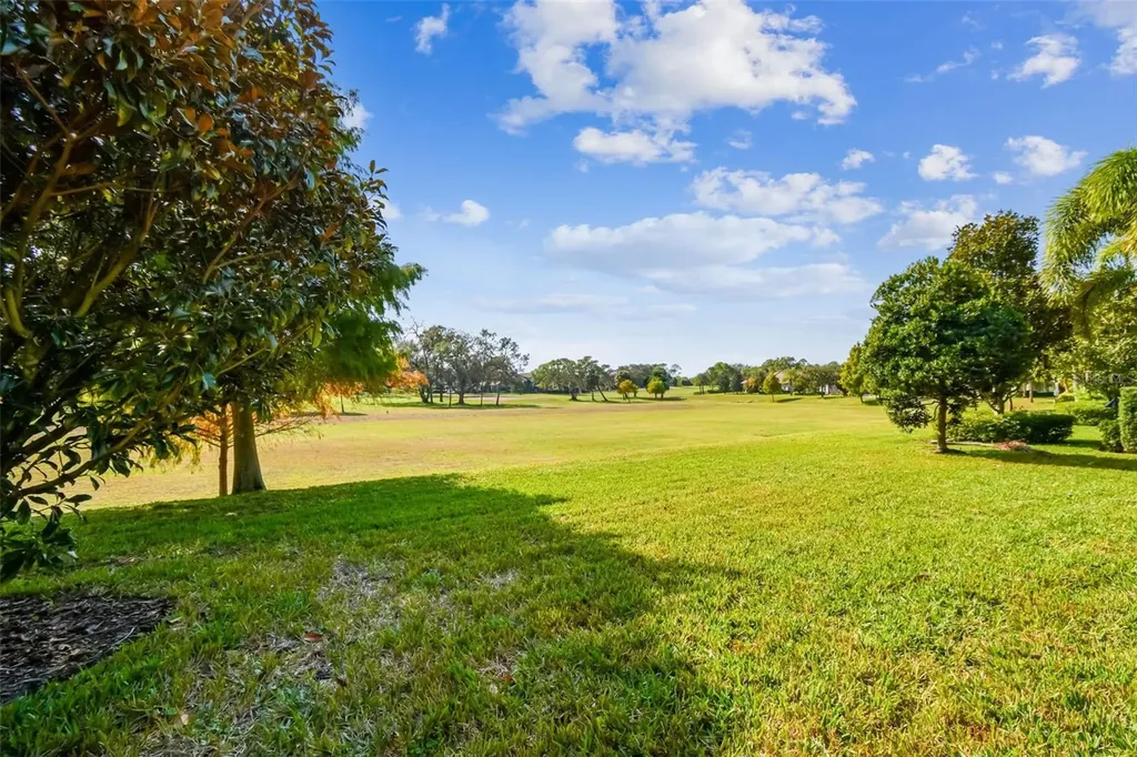 1446 Via Verdi Drive Palm Harbor FL 34683