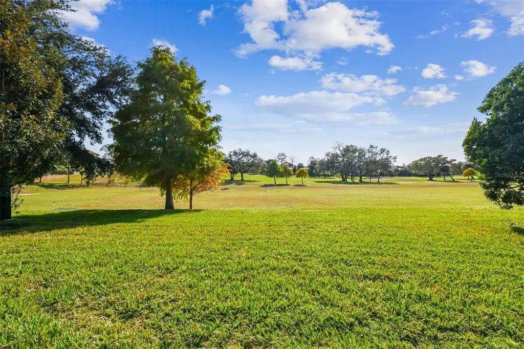 1446 Via Verdi Drive Palm Harbor FL 34683