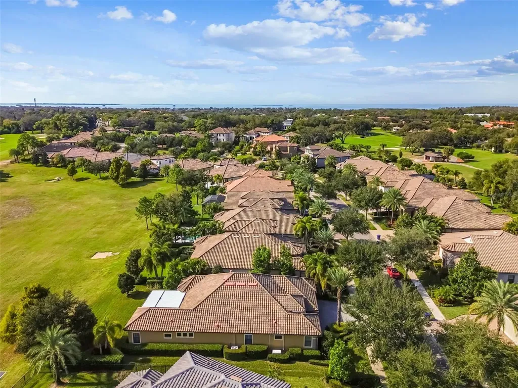 1446 Via Verdi Drive Palm Harbor FL 34683