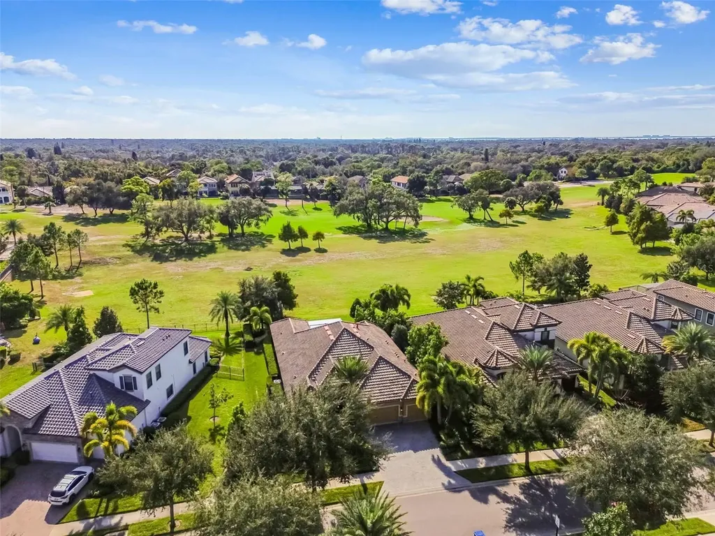 1446 Via Verdi Drive Palm Harbor FL 34683