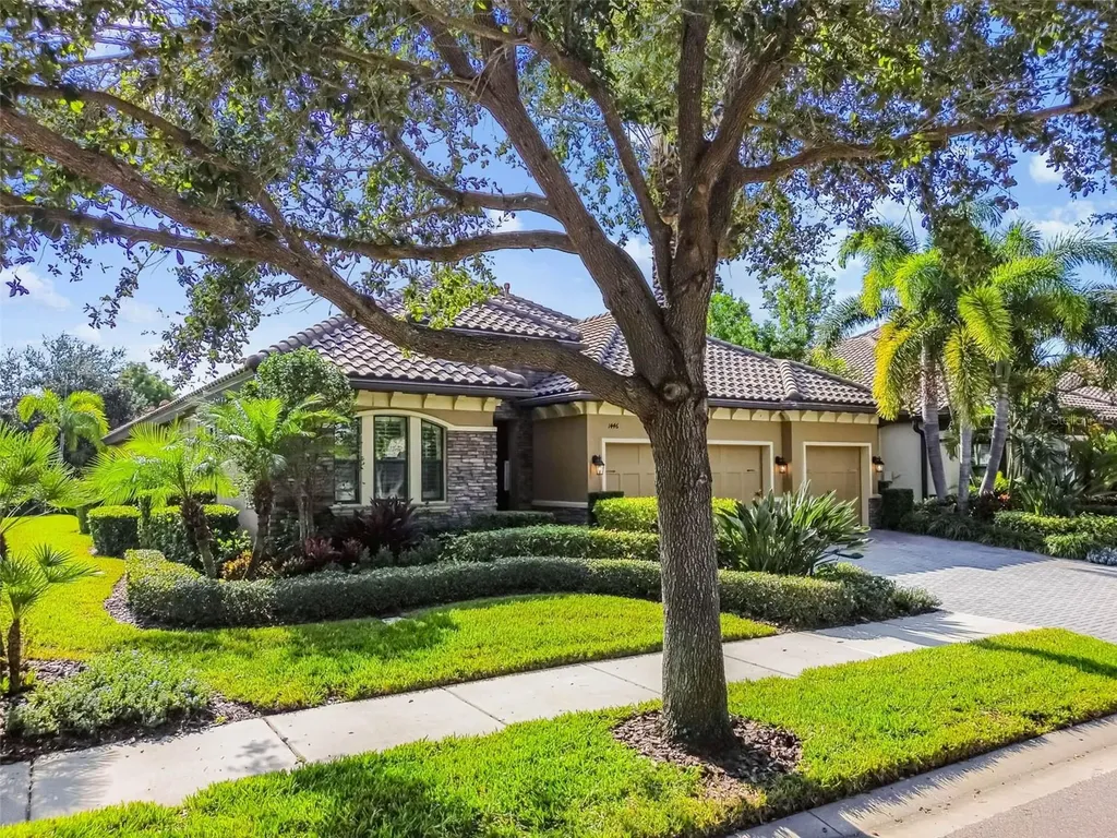 1446 Via Verdi Drive Palm Harbor FL 34683