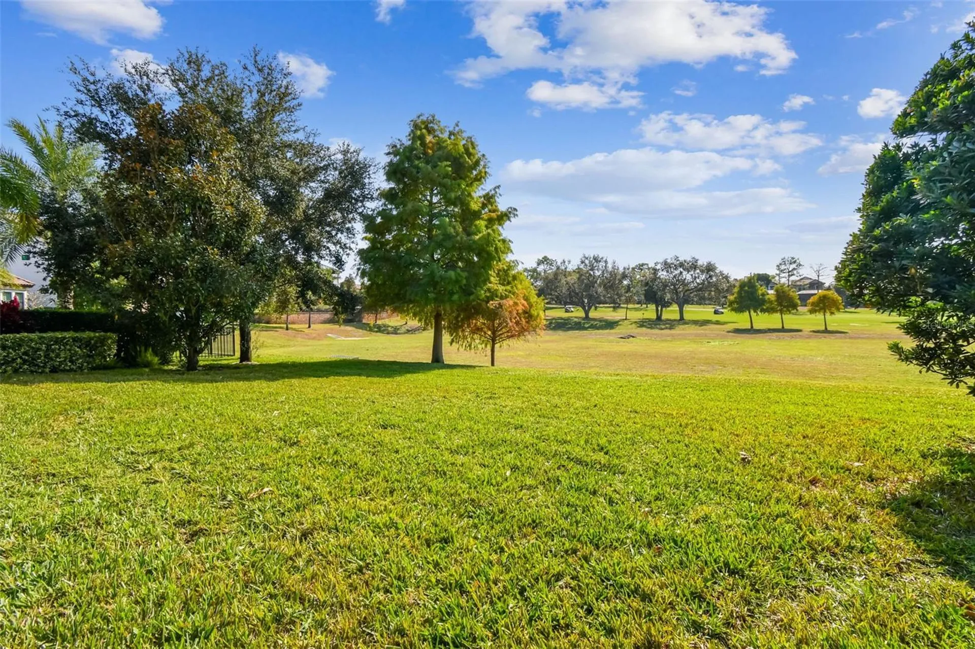 1446 Via Verdi Drive Palm Harbor FL 34683