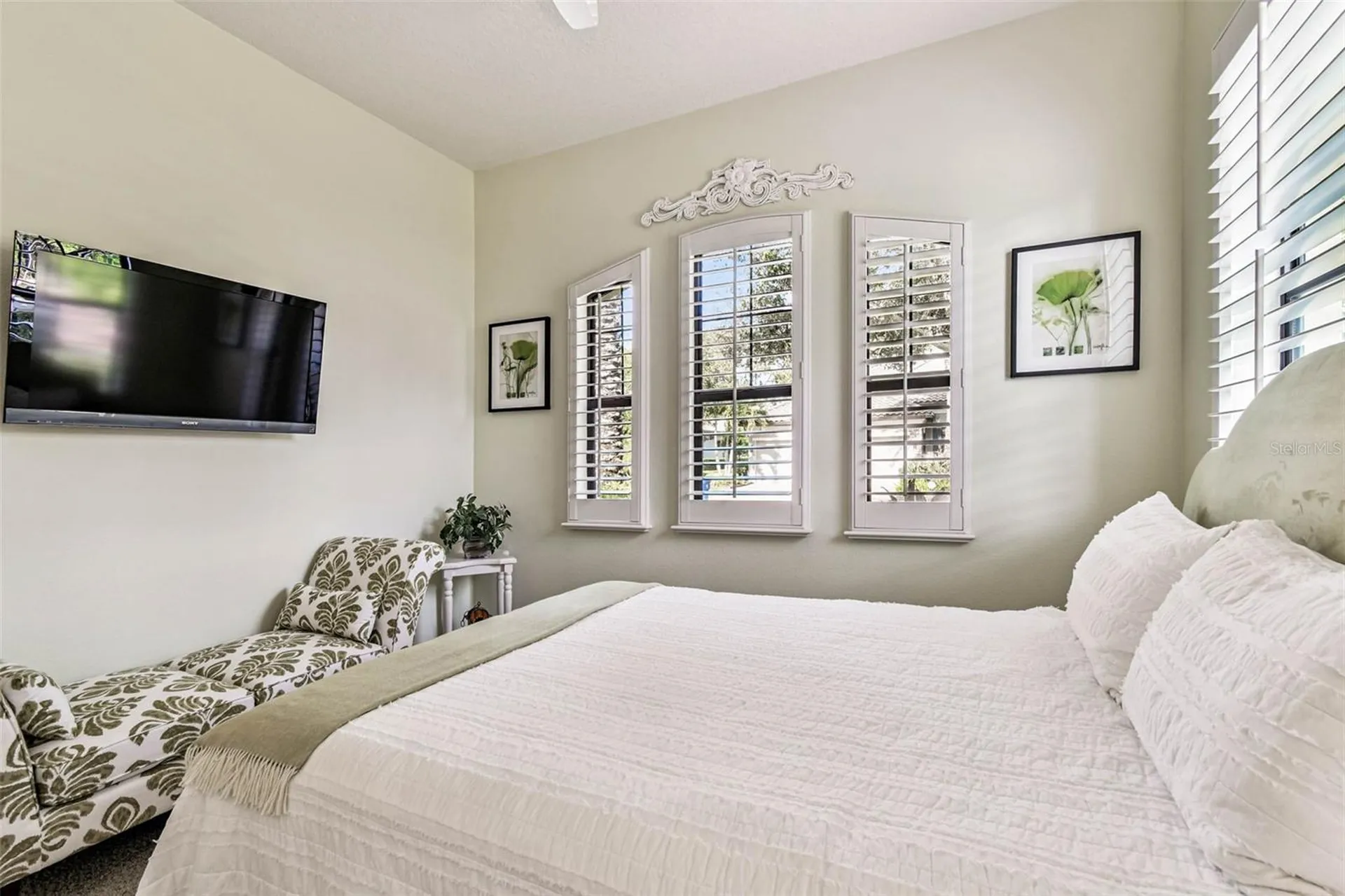 1446 Via Verdi Drive Palm Harbor FL 34683