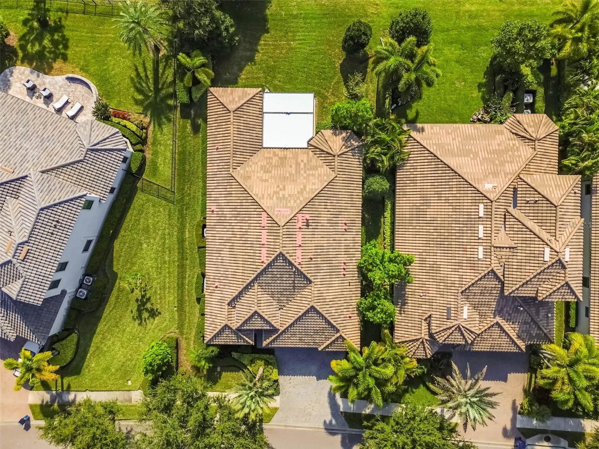 1446 Via Verdi Drive Palm Harbor FL 34683