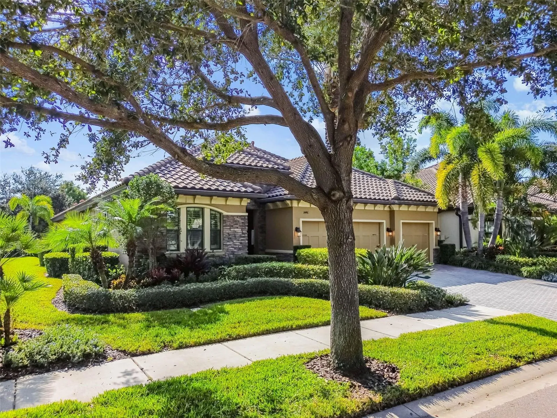 1446 Via Verdi Drive Palm Harbor FL 34683
