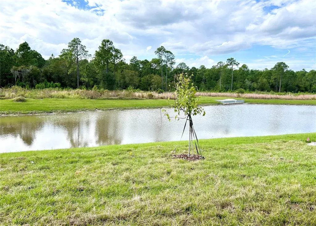 3349 Costello Circle Winter Haven FL 33884