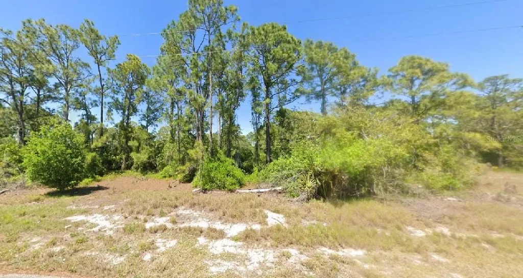 348 Gleaming Avenue Lake Placid FL 33852