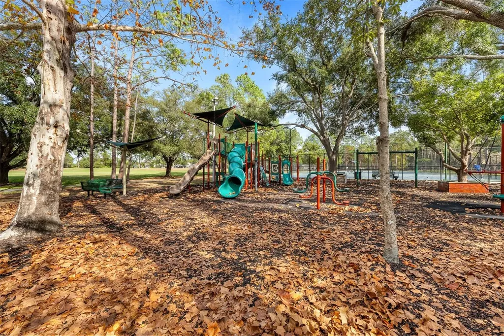 9481 Highland Oak Drive Tampa FL 33647