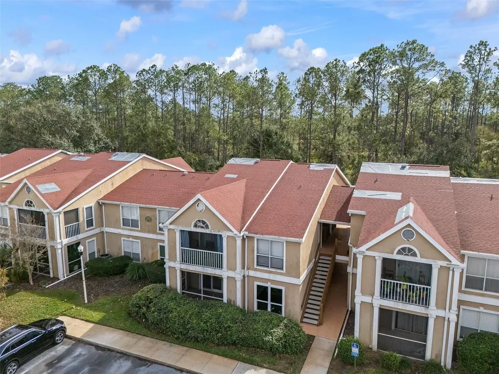 9481 Highland Oak Drive Tampa FL 33647