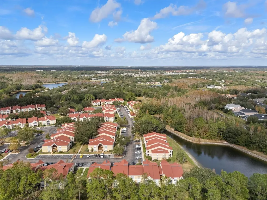 9481 Highland Oak Drive Tampa FL 33647
