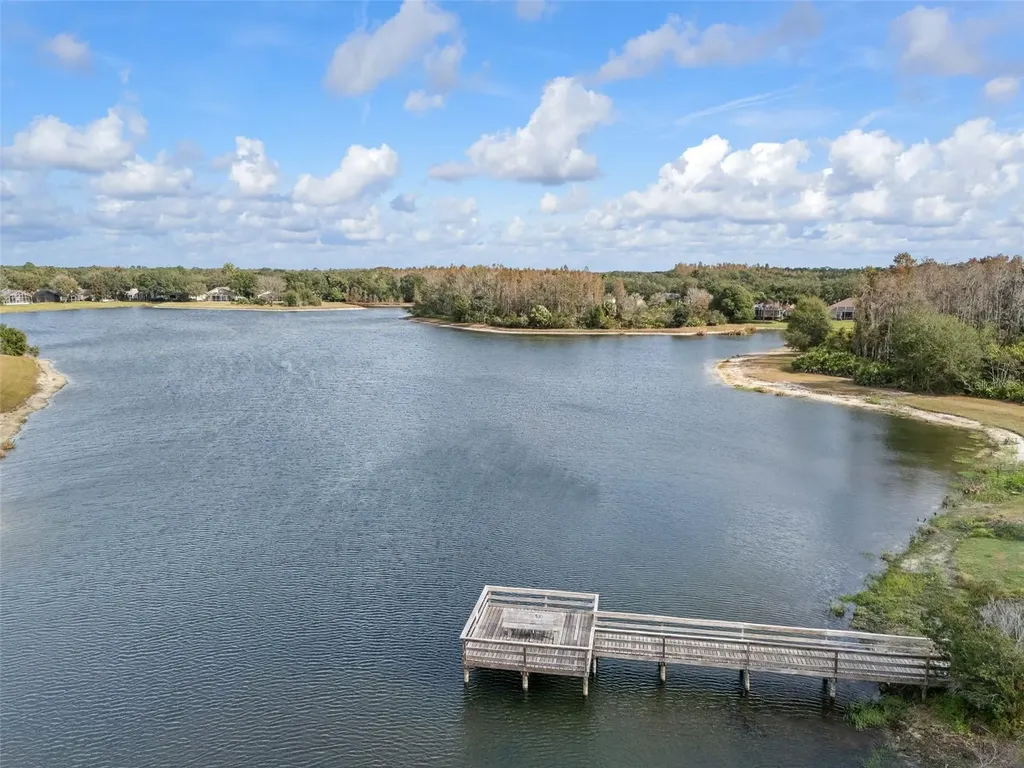 9481 Highland Oak Drive Tampa FL 33647