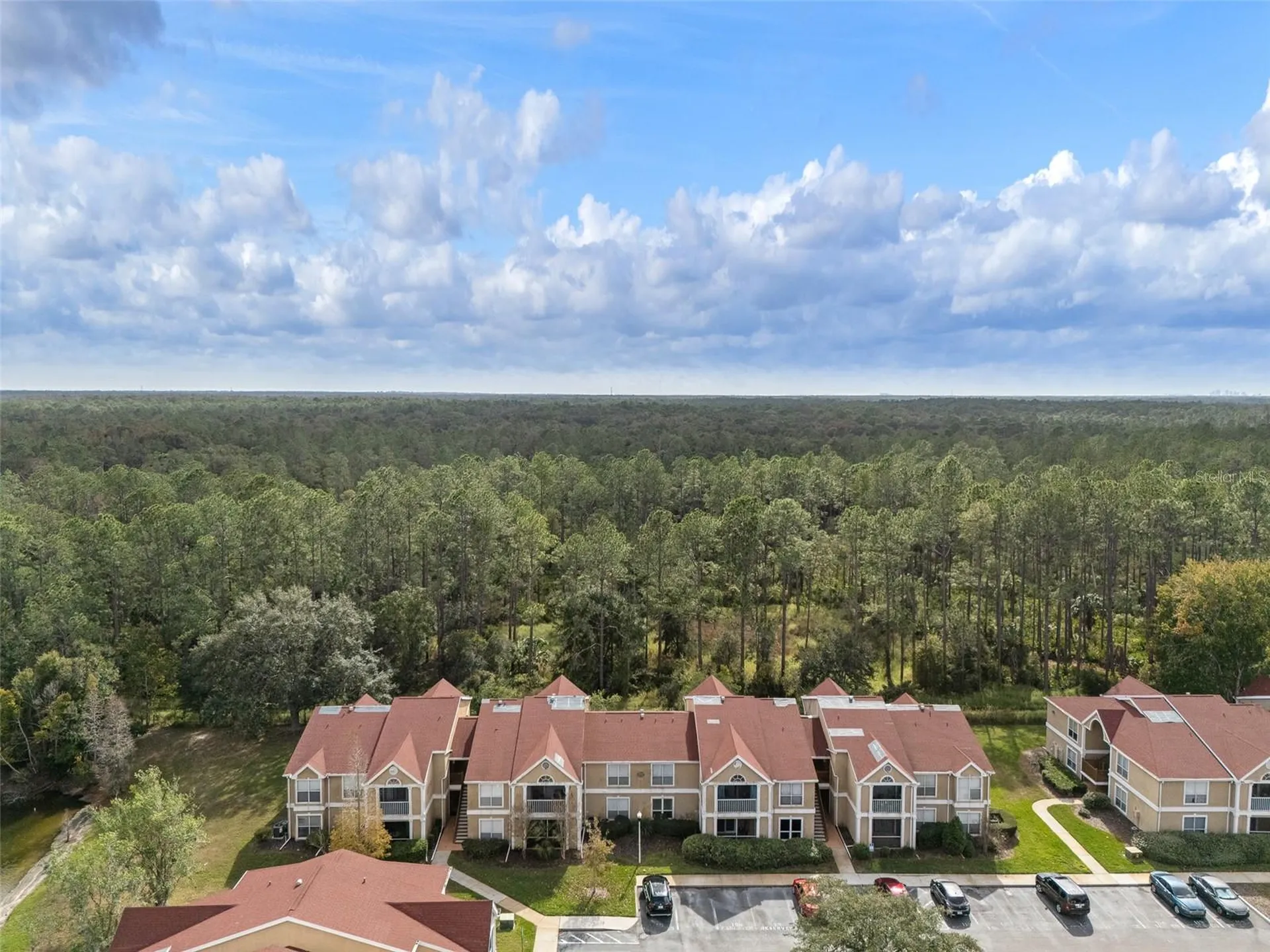 9481 Highland Oak Drive Tampa FL 33647