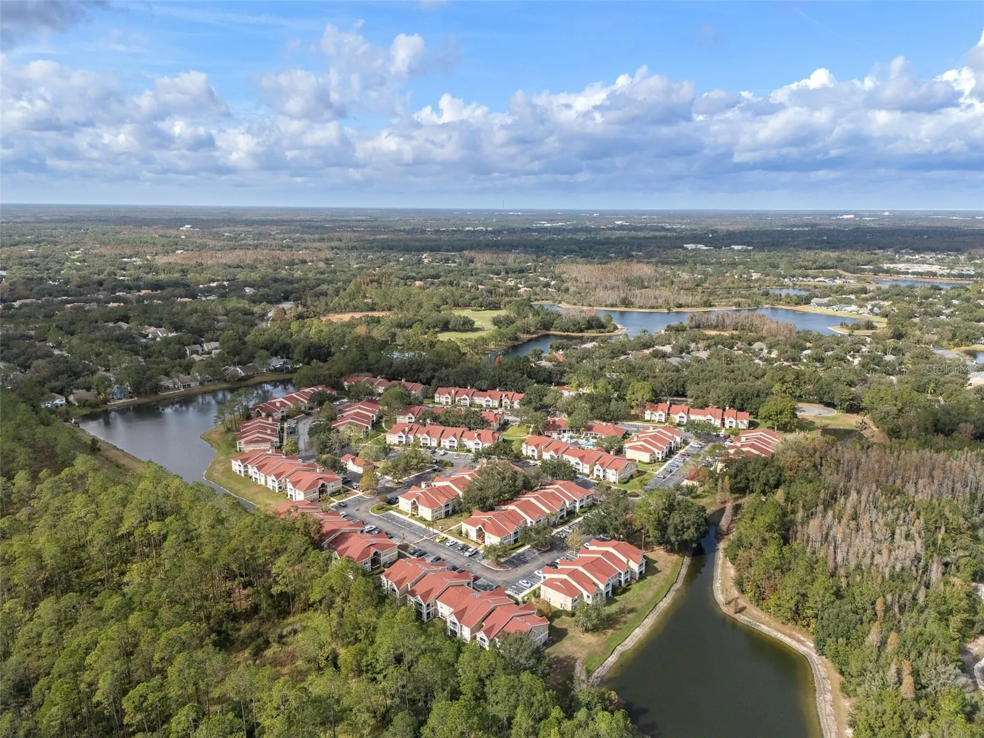 9481 Highland Oak Drive Tampa FL 33647