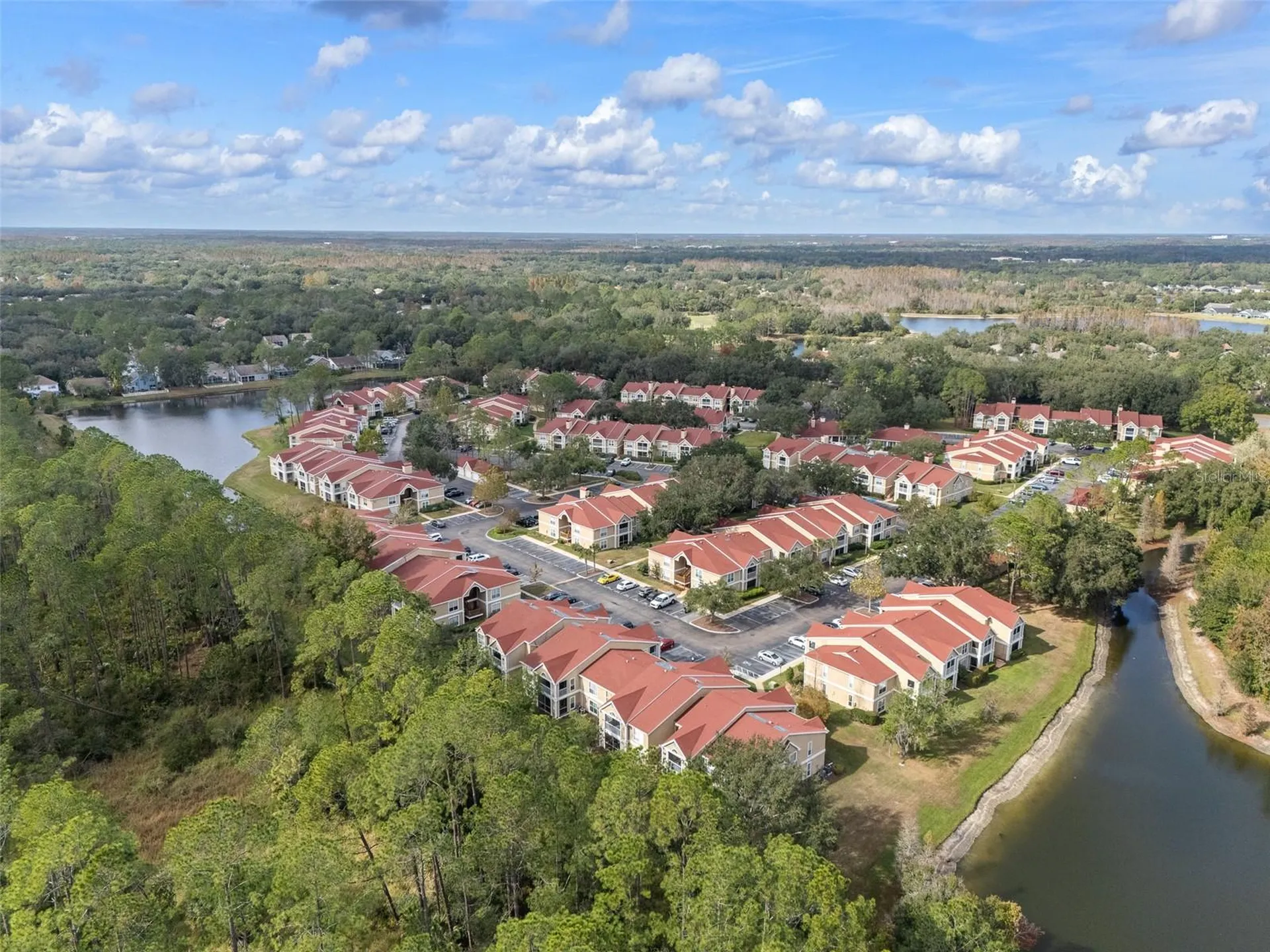 9481 Highland Oak Drive Tampa FL 33647