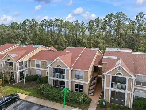 9481 Highland Oak Drive Tampa FL 33647