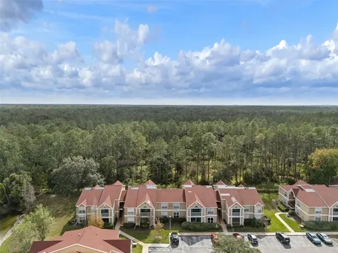 9481 Highland Oak Drive Tampa FL 33647