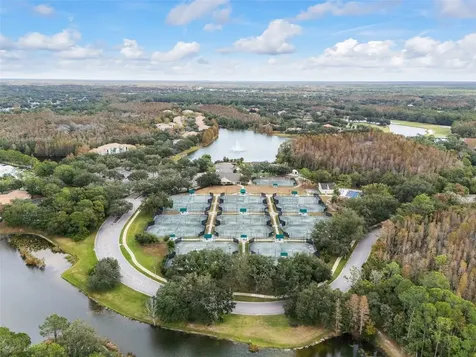 9481 Highland Oak Drive Tampa FL 33647