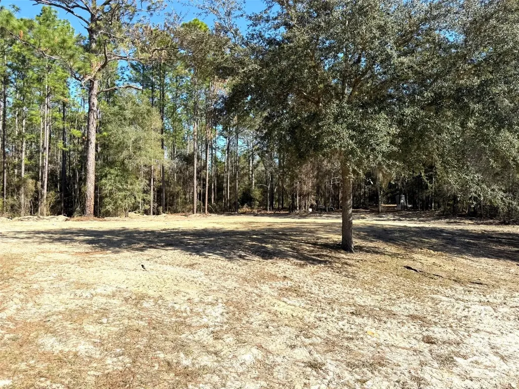 1180 SW 158th Avenue Ocala FL 34481
